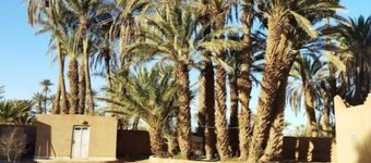 Jardin D'hôtes Privatif Dans le Désert