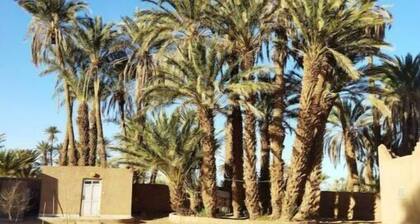 Jardin D'hôtes Privatif Dans le Désert