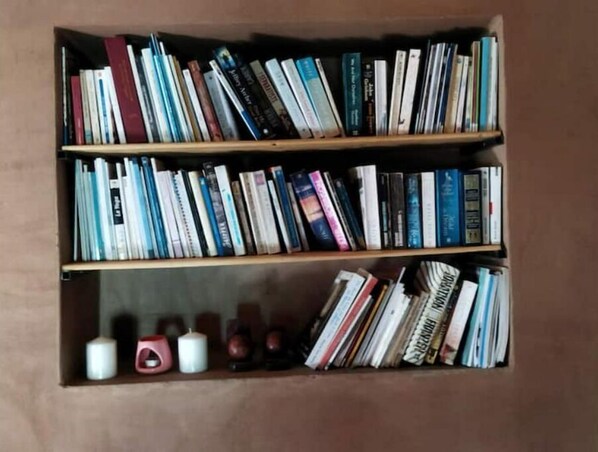 A bookshelf filled with books and a few small decorative items.