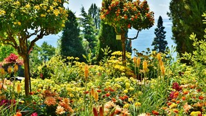 A garden with various flowering plants and trees, a signpost, and a view of the sea. - Holiday Inn - the niu, Flower Konstanz by IHG (Konstanz)