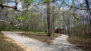 A gravel path leading to a rustic cabin in a forested area. - Dogwood Cabin - Off Grid (Chesterhill)