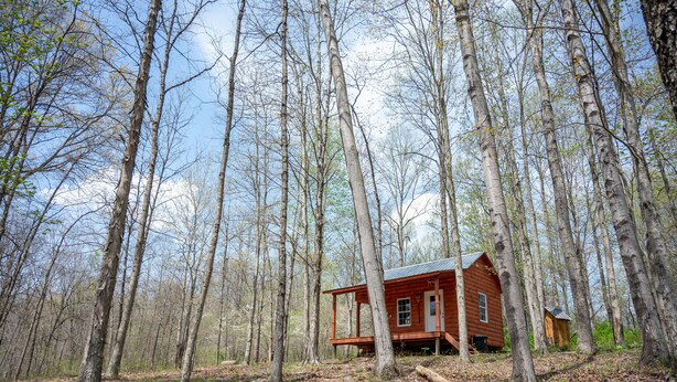 A cabin in a forest with a wooden exterior and a porch. - Dogwood Cabin - Off Grid (Chesterhill)