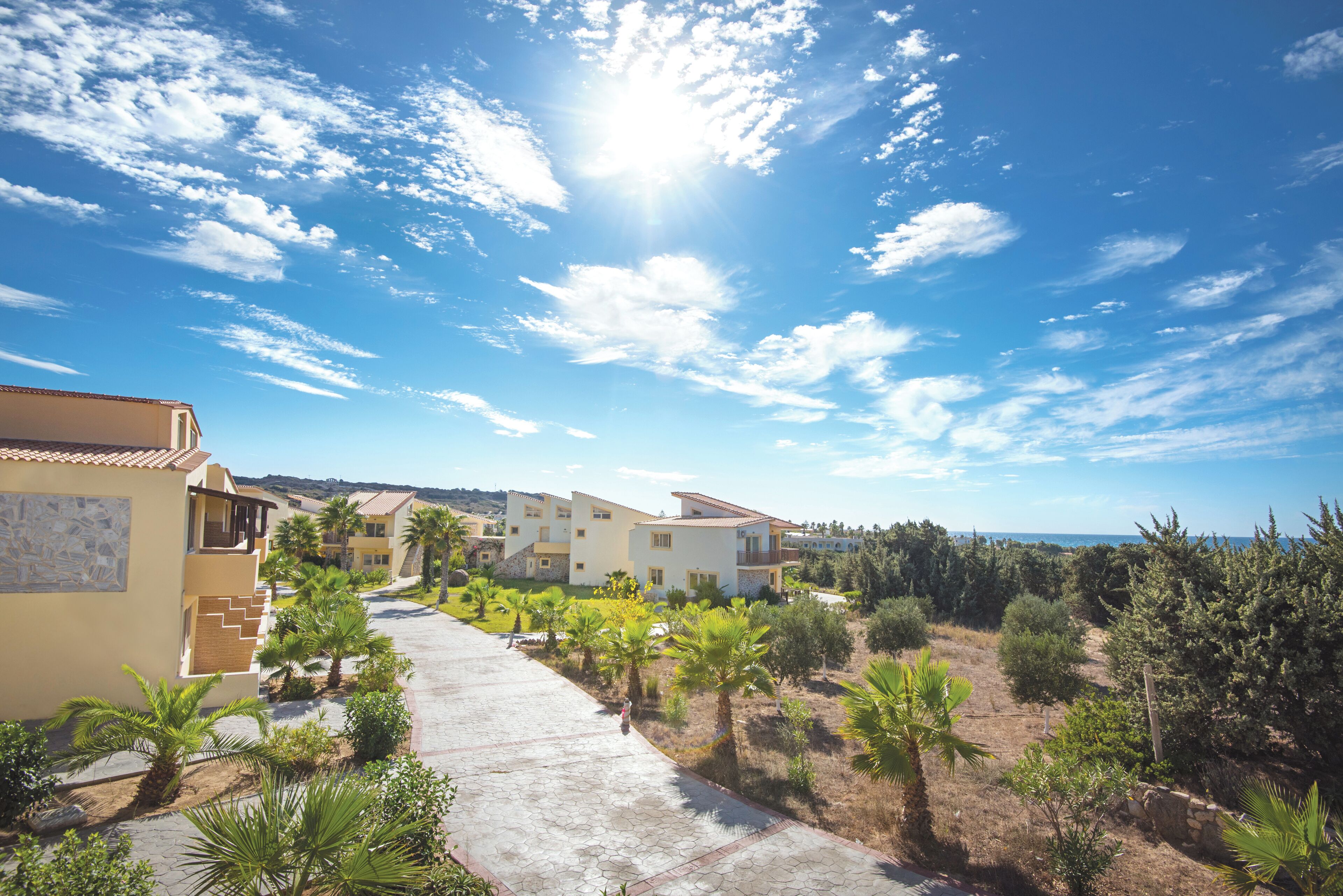 Zona residencial con un camino adoquinado, casas y vegetación.
