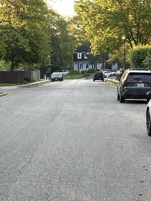 Stroll through a quiet suburban neighborhood lined with charming homes.