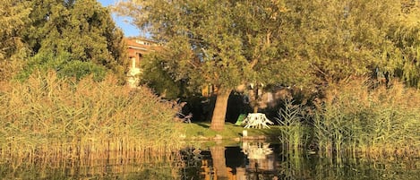Terrein van de accommodatie