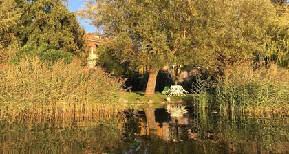 Miralago apartment with garden by the lake