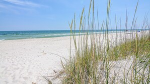 A beach with sand and grass, a clear sky, and the ocean.