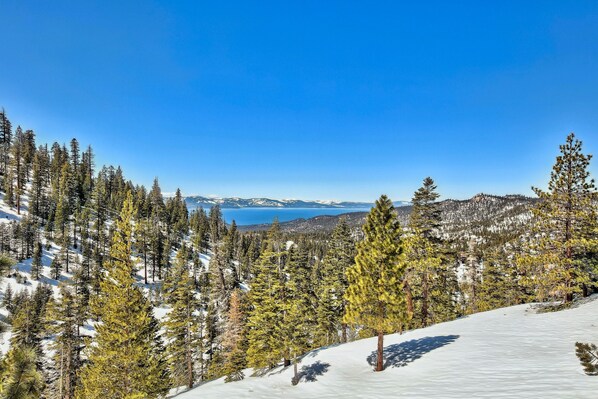 A snow-covered mountain landscape with dense coniferous trees and a clear blue sky.