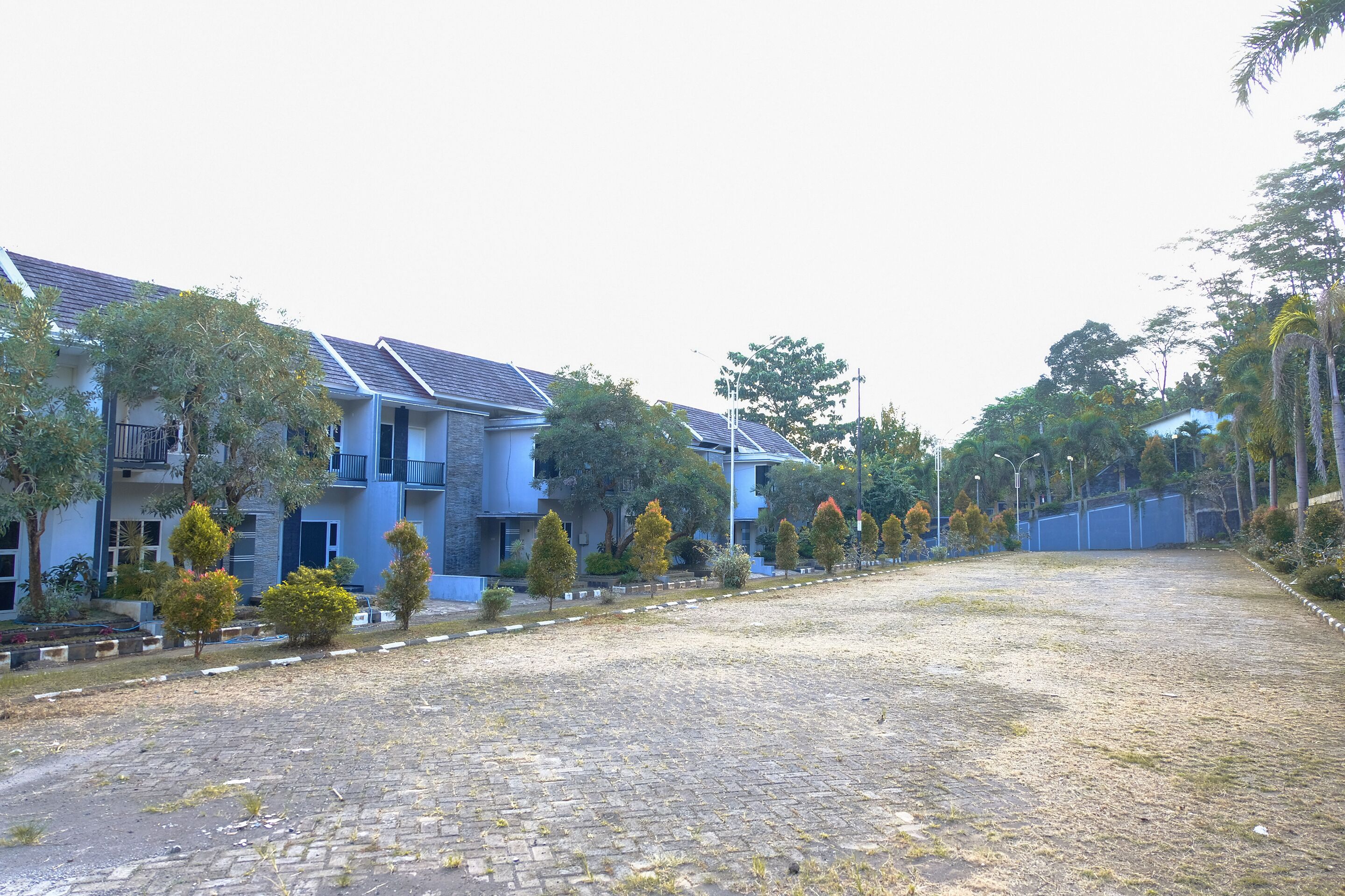 A residential area with modern houses, a paved driveway, and well-maintained landscaping.