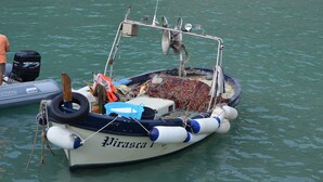 Un petit bateau de pêche, baptisé « Pirasta », était amarré dans une marina.