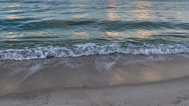 A beach with waves gently lapping onto the shore under a partly cloudy sky. - WATCH THE DOLPHINS PLAY FROM THE BALCONY! (Orange Beach)