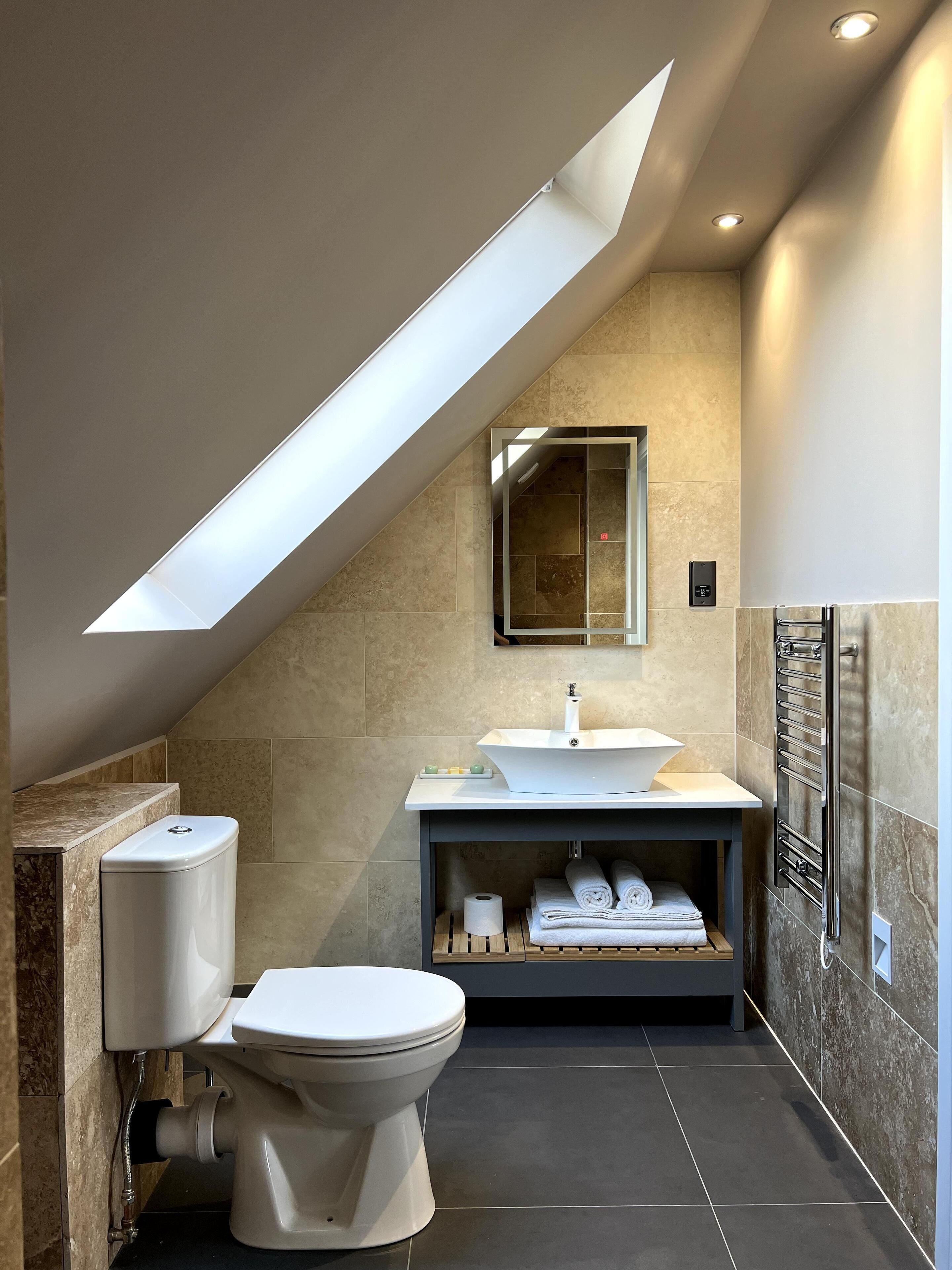 A modern bathroom with a skylight, a toilet, a sink, and a towel rack.