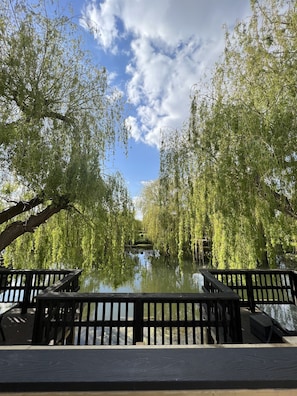 A wooden deck with a railing overlooking a calm body of water, surrounded by lush green trees. - The Three Pickerels  (Ely)