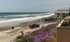 Une plage avec un véhicule de surveillance des sauveteurs, une côte rocheuse et une jetée en arrière-plan.