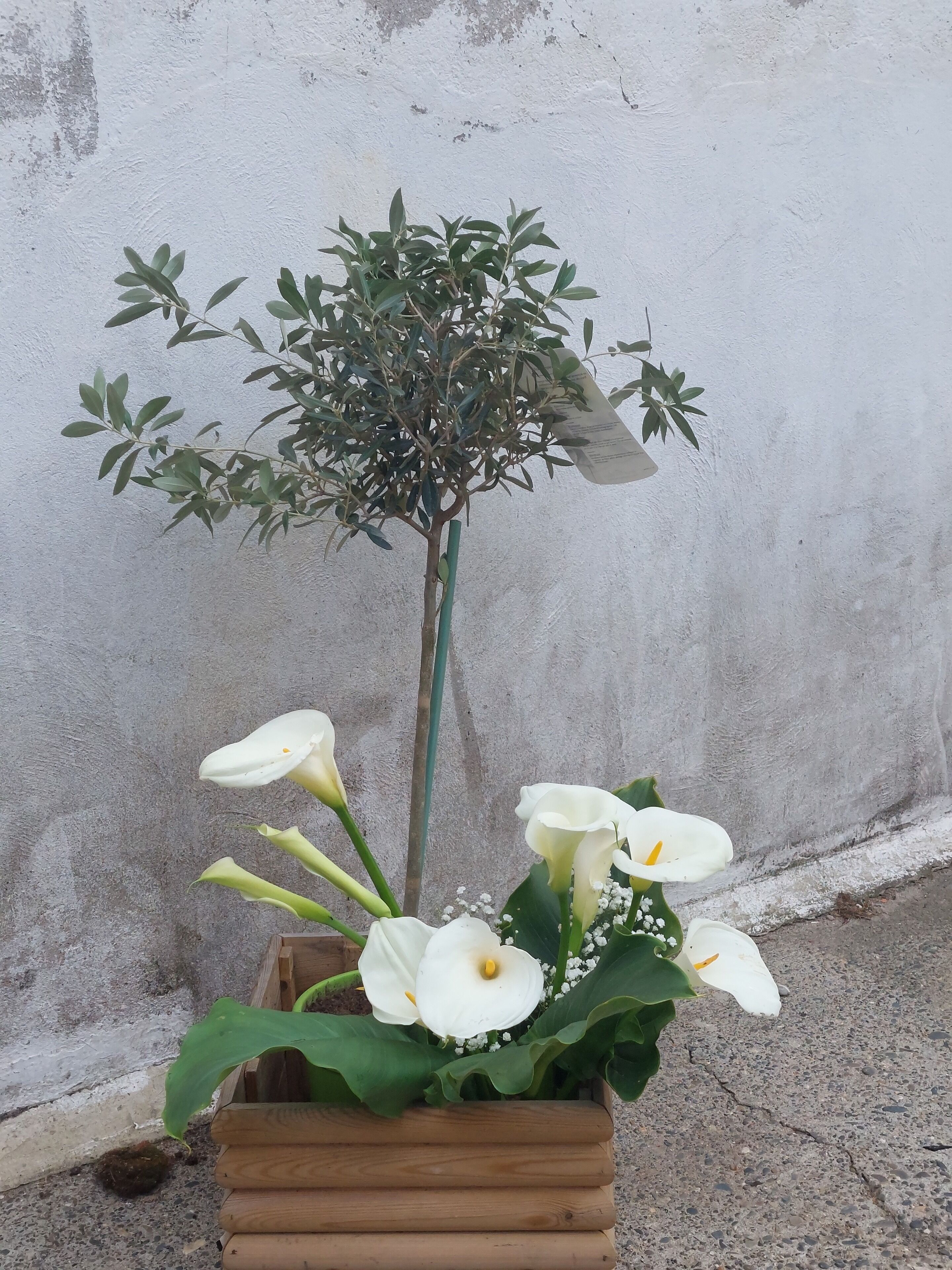 1CHAMBRE D'HOTES AVEC SPA et PISCINE