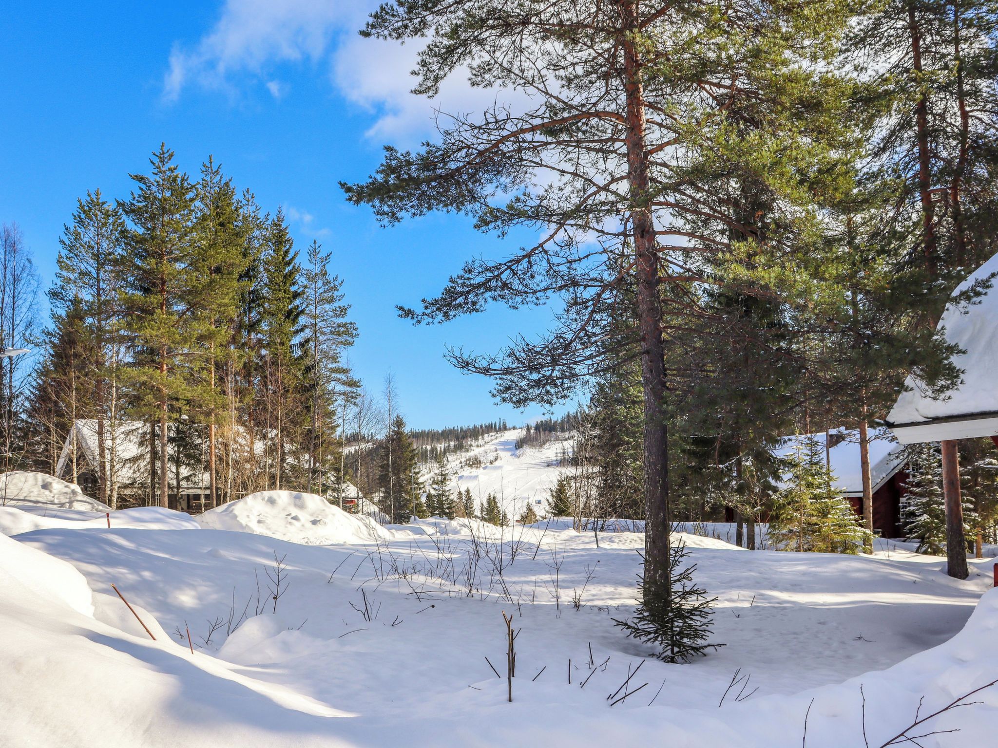 A snowy landscape with pine trees and a cabin.