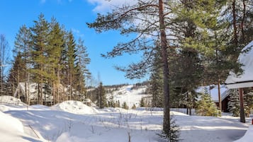 A snowy landscape with pine trees and a cabin.