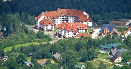 Harrachov 561 by Interhome