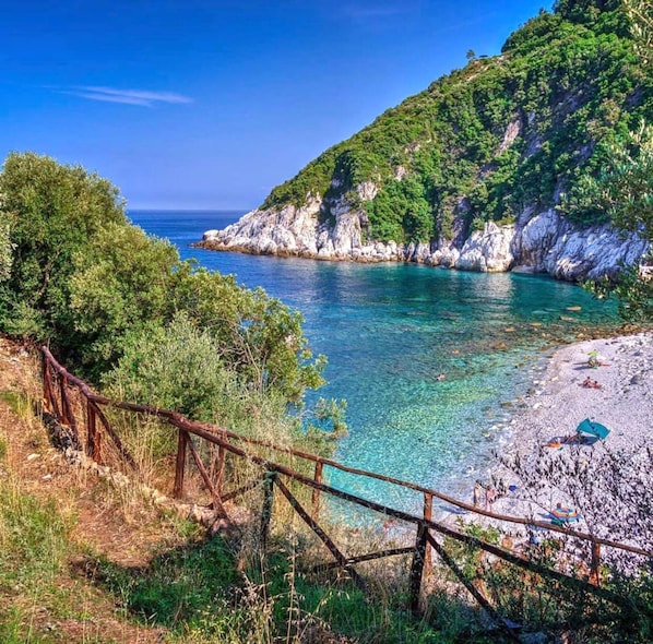 開放式客房, 吸煙房 | 1 間臥室