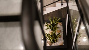 A modern indoor garden with a variety of plants and a stone floor. - Domea Superior Rooms (Reggio Calabria)