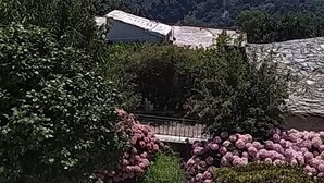 A view of a coastal area with a stone wall, lush greenery, and a clear sky. - Villa Zina Studio 3 Pelion (Zagora-Mouresi)
