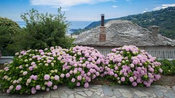 Studio, Smoking | 1 bedroom