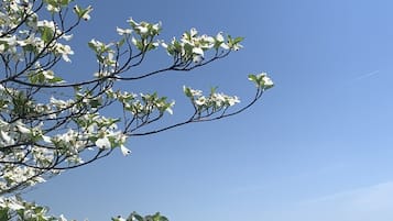 住宿地面