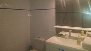 A bathroom with a shower, toilet, sink, and mirror. - Maisonnette (Chambéry)