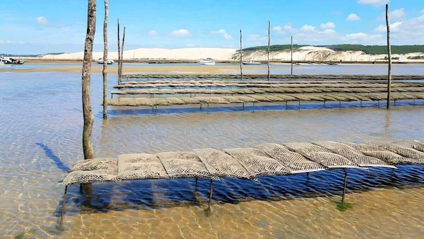 A salt flat with wooden structures and poles.