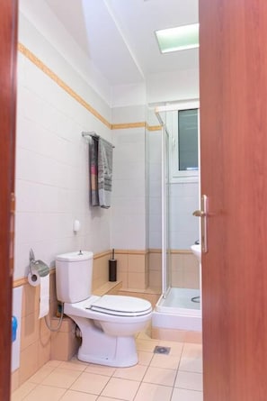 A bathroom with a toilet, a shower, and a glass door leading to a shower area.