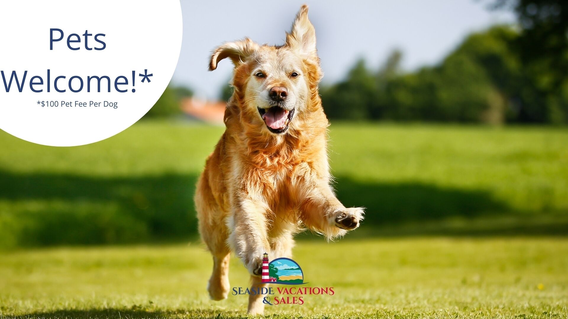 A dog running on grass with a logo and text for Seaside Vacations & Sales.