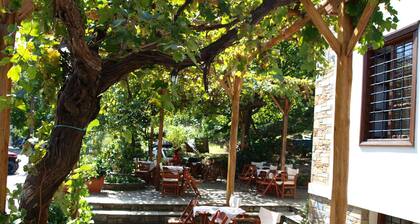 Heliodora Comfort Triple Room 2