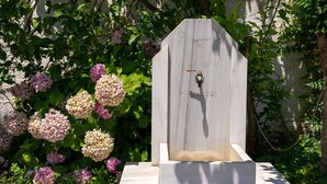 A gravestone with an inscription and a pipe, surrounded by hydrangea flowers. - Paradeisos Double Room With Balcony 2 (Zagora-Mouresi)