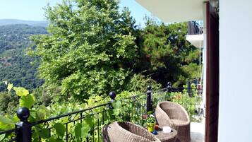 Studio, Smoking | 1 bedroom