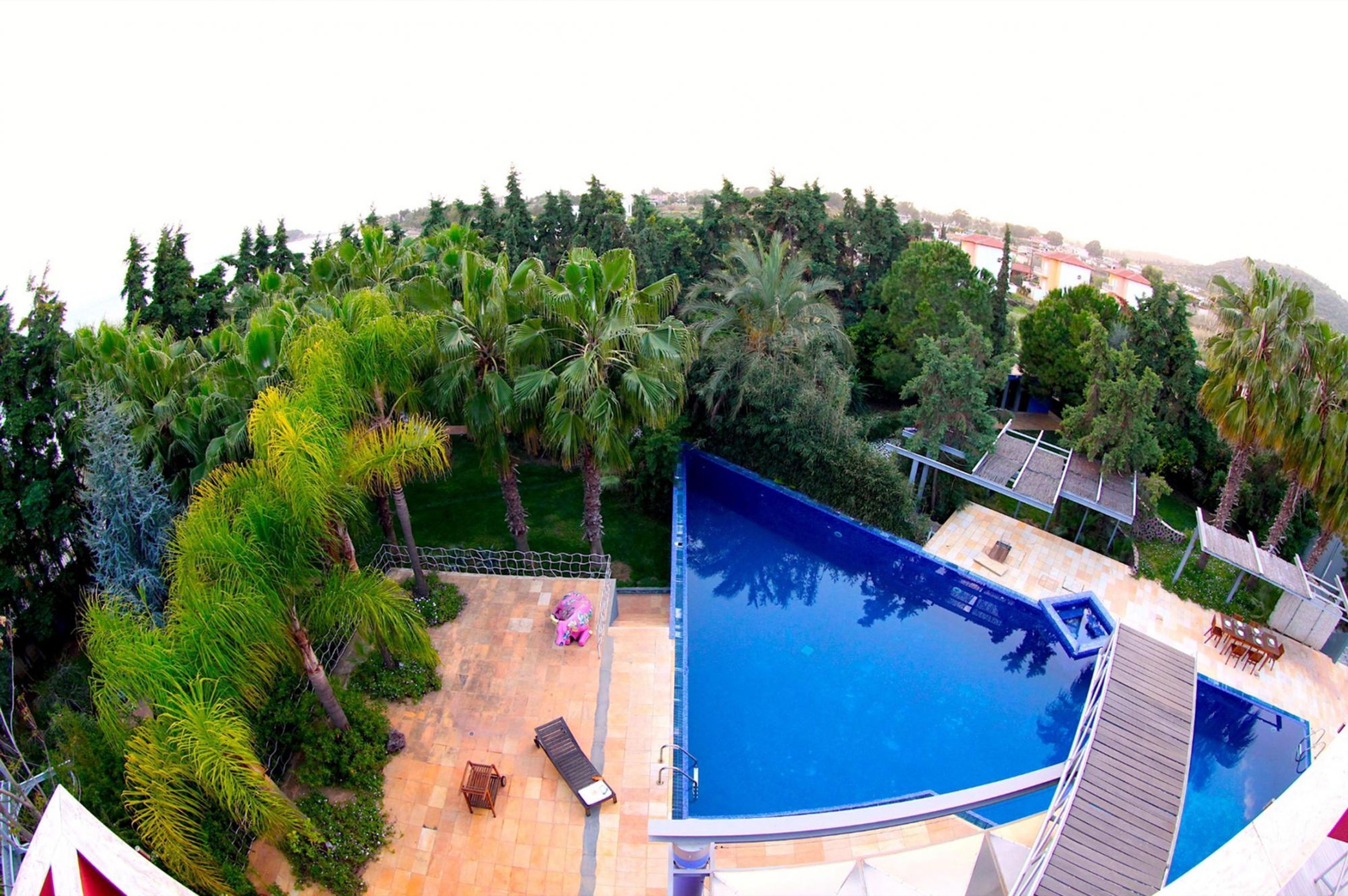 Una piscina rodeada de exuberante vegetación y palmeras.