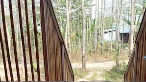 Nhà gỗ tiện nghi đơn giản | Hiên