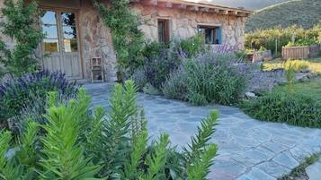 Área da propriedade