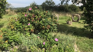A garden with a variety of plants and flowers, including pink blossoms and a large tree.