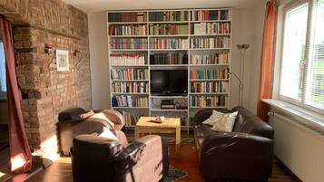 TV, fireplace, books, stereo