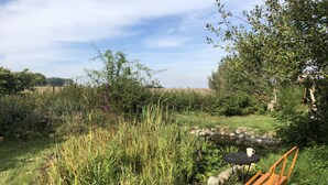 A garden with a bench and a table, surrounded by various plants and a small stream.