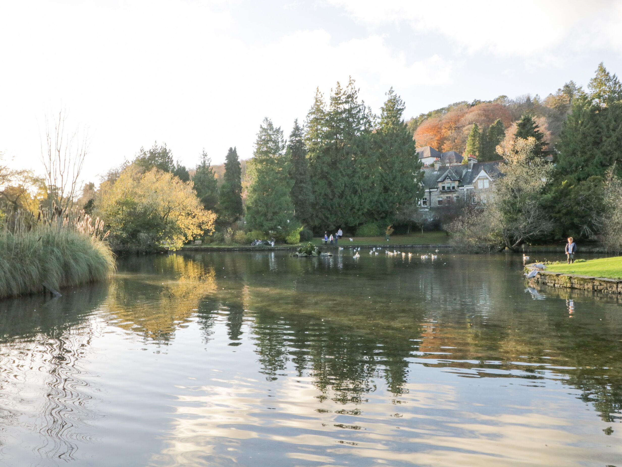 A serene lake with reflections of trees and a building in the background.