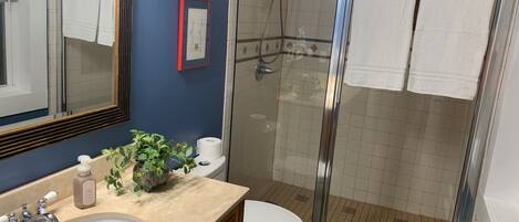 A bathroom with a sink, toilet, and glass-enclosed shower.