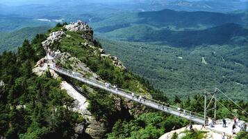 A suspension bridge over a rocky cliff with a forested valley below.