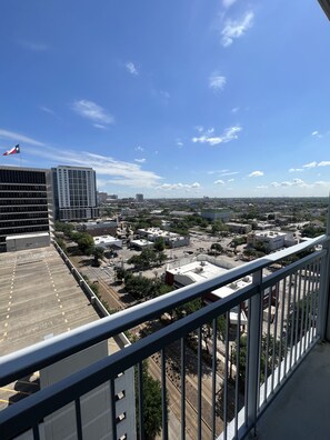 Property grounds - Midtown High Rise (Houston)