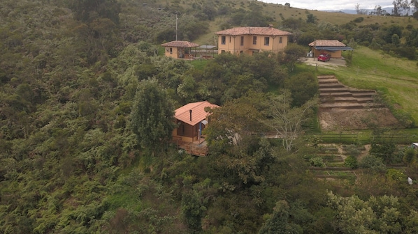 Una casa de campo con techo de tejas rojas rodeada de abundante vegetación y campos escalonados.