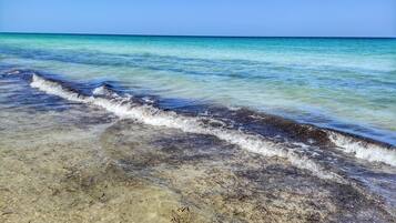 Apartment (4 Bedrooms) | Interior