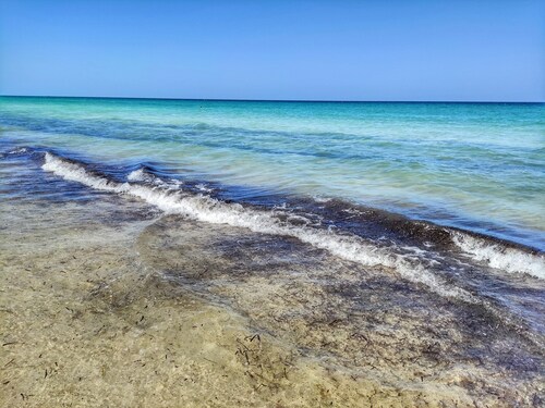 Copy ~15 Miles to Disney Parks From Home w/ Pool Deck!