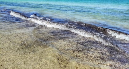 Copy ~15 Miles to Disney Parks From Home w/ Pool Deck!