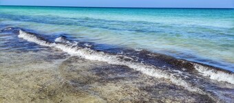 Copy ~15 Miles to Disney Parks From Home w/ Pool Deck!