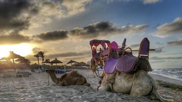 Apartment (4 Bedrooms) | Interior